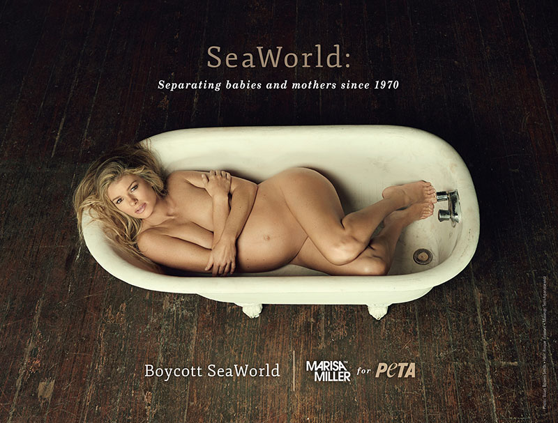 Illustration for article titled Pregnant Marisa Miller Poses Nude in a Tub to Save the Whales